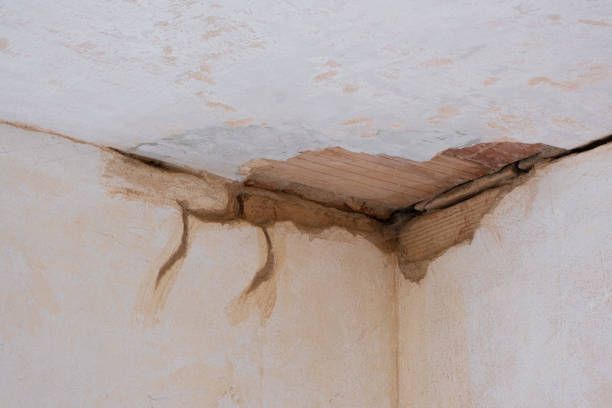 Best Flood restoration services  in Point Lookout, NY