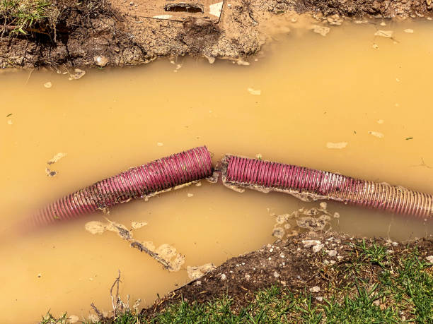 Best 24/7 water damage repair  in Point Lookout, NY